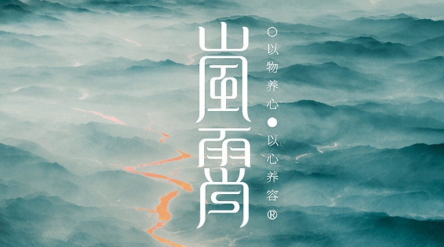 品牌設(shè)計(jì)對企業(yè)發(fā)展的重要性及影響